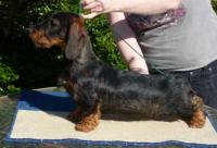 Click to enlarge - As a Baby